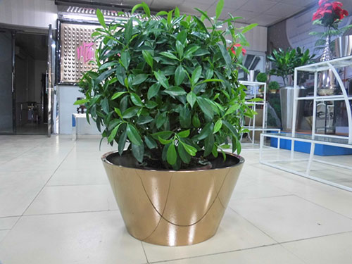 廣東汕頭不銹鋼花盆哪家做的好？